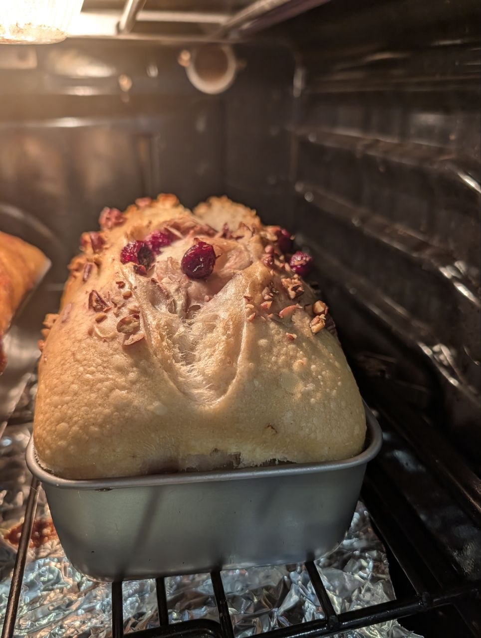 Cranberry Pecan Sourdough Loaf