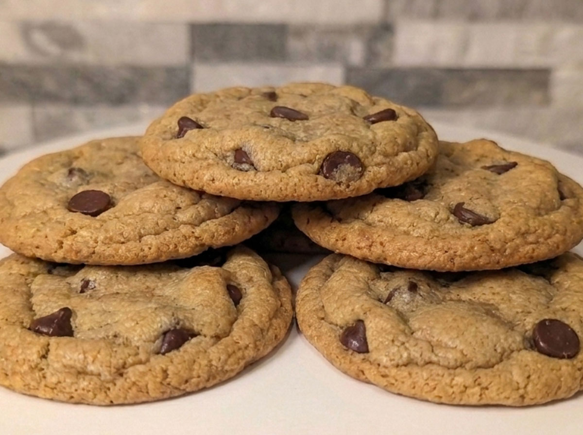 Dark Chocolate Chip Sourdough Cookies