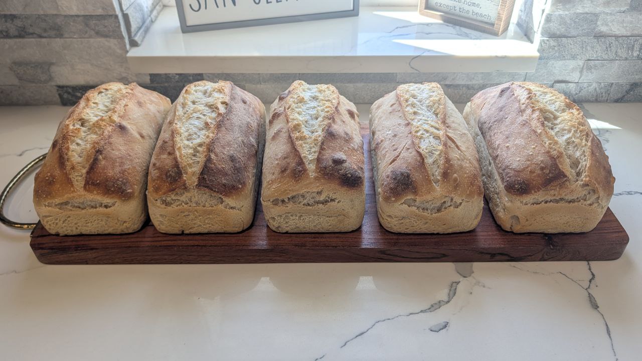 Sourdough Loaf